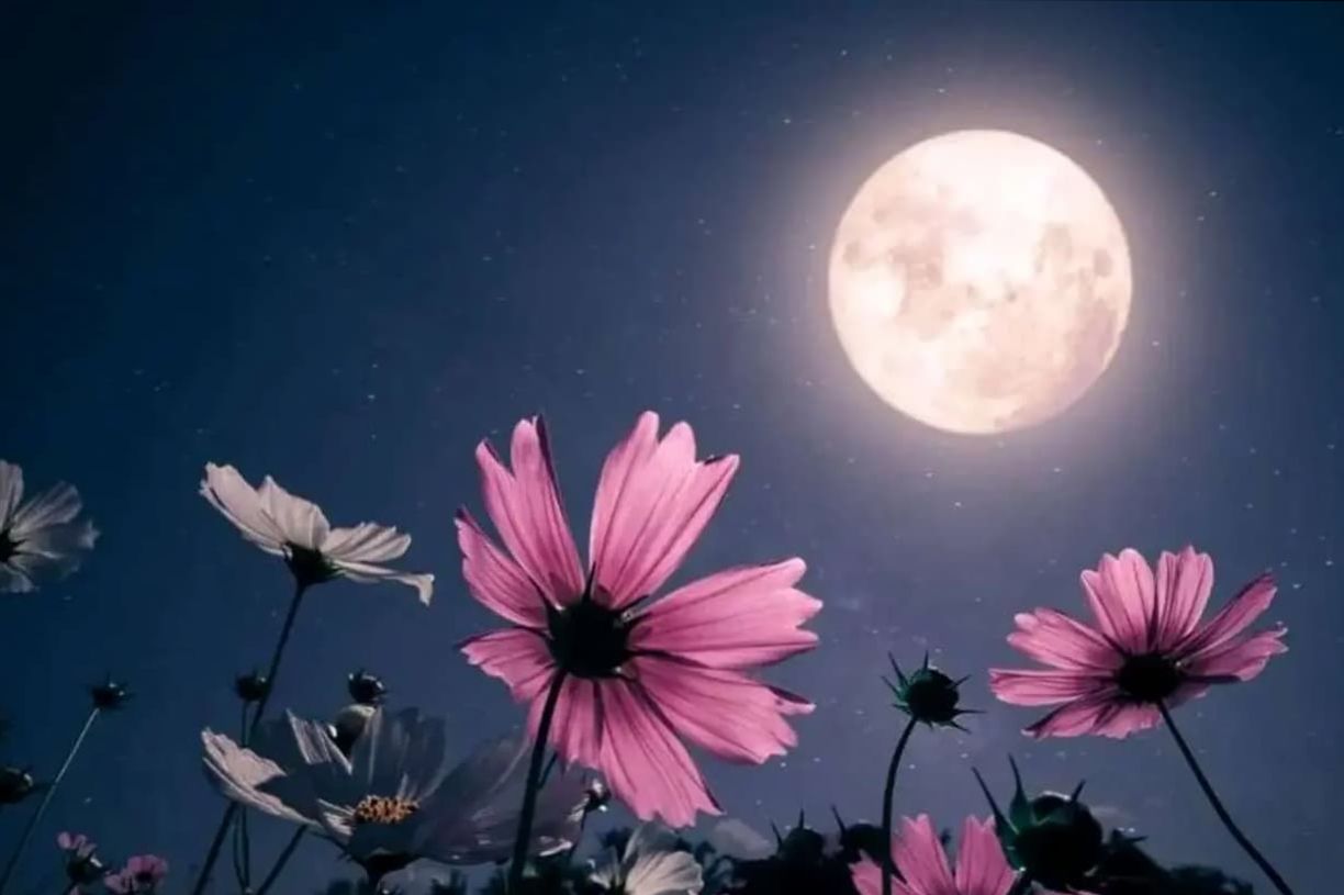 نزدیکترین و بزرگترین ماه کامل سال در راه است؛ این فرصت را از دست ندهید!