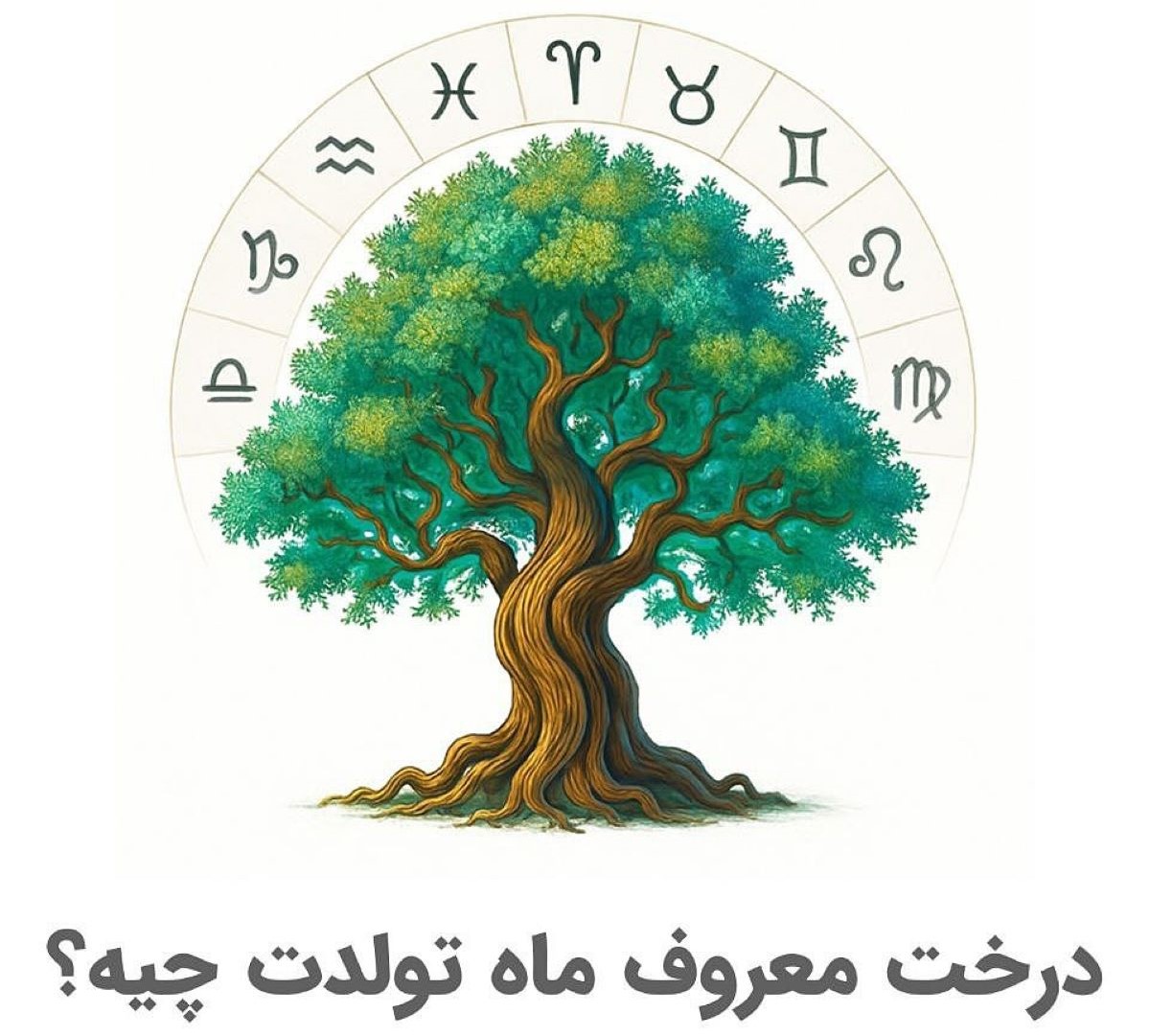 درخت معروف ماه تولدت چیه؟ | هر درخت داستانی برای گفتن داره مثل ماه تولدت، پس وقتشه ببینی ریشه هات کجا درگیرن و شاخه هات کجا رو نشونه گرفتن؟