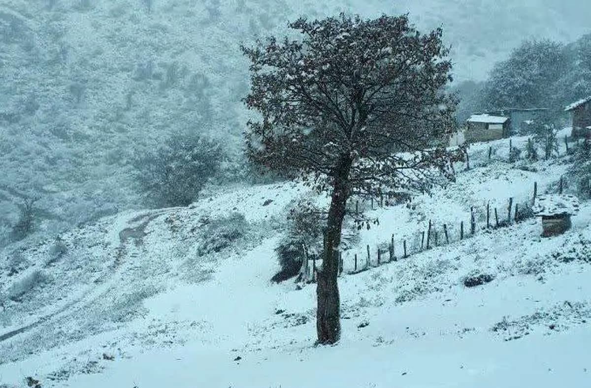 هشدار هواشناسی| بارش برف و باران و سرمای زودهنگام در این استان‌ها از فردا ؛ خطر در کمین تهرانی‌ها