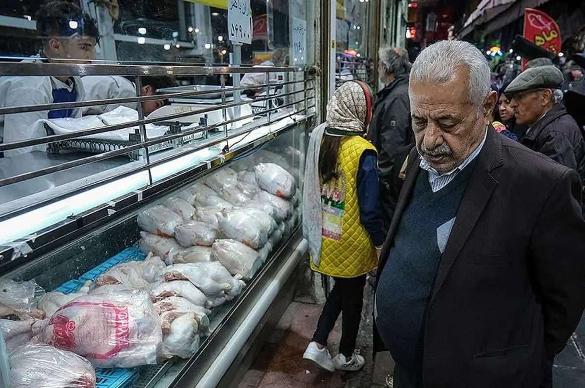 قیمت مرغ پرواز کرد | قیمت مرغ به کیلویی 160 هزار تومان رسید