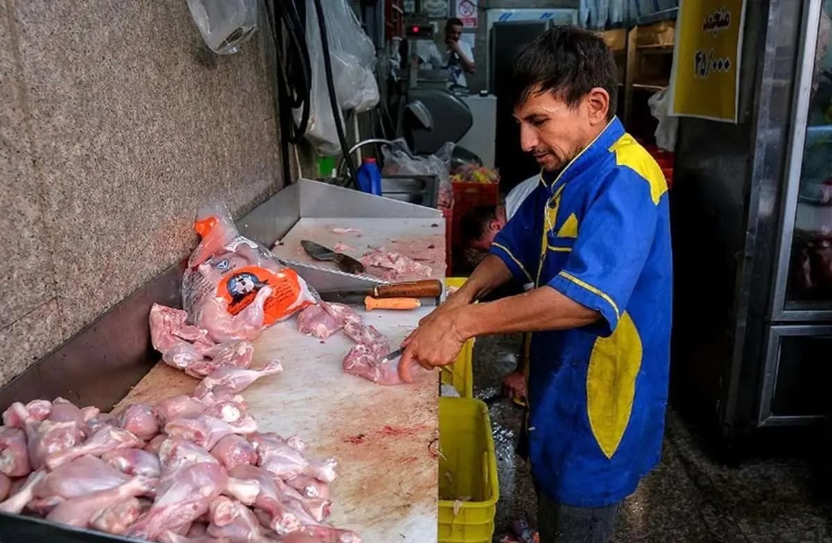 قیمت جدید مرغ| مرغ کامل 556 هزار تومان شد