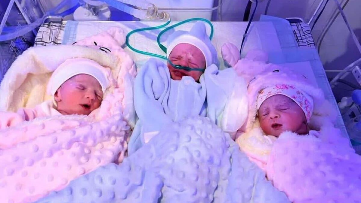 مادر 40 ساله کاشانی صاحب سه قلو شد