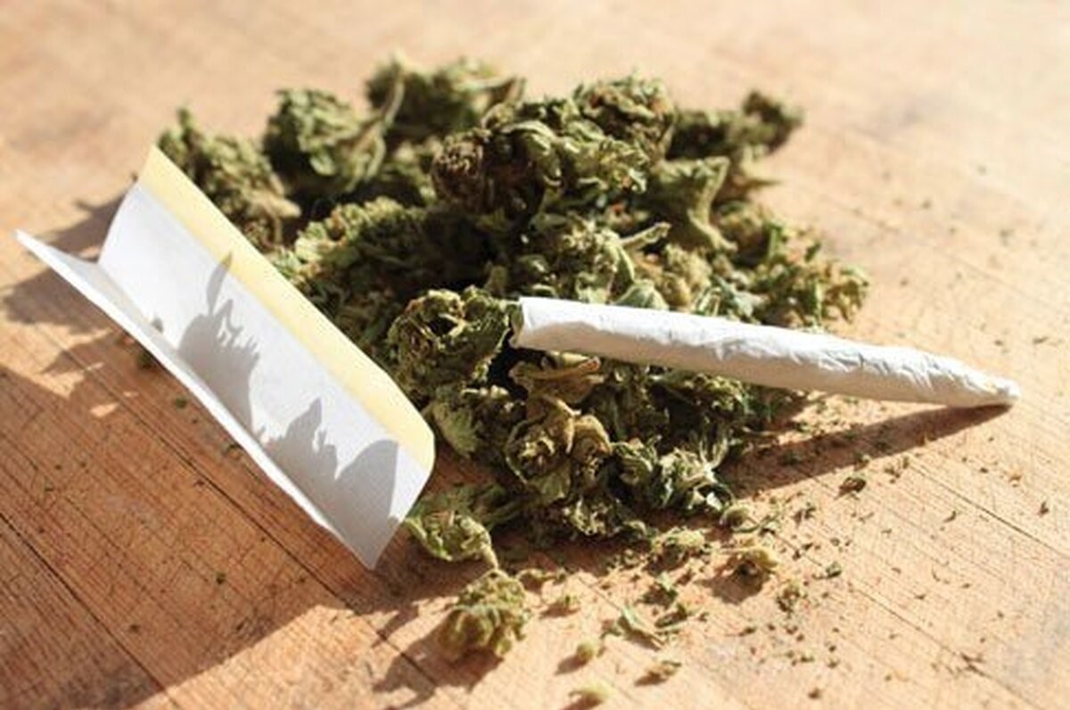 گلهایی با بوی مرگ | توهم زایی گل ایرانی 10 برابر دنیا