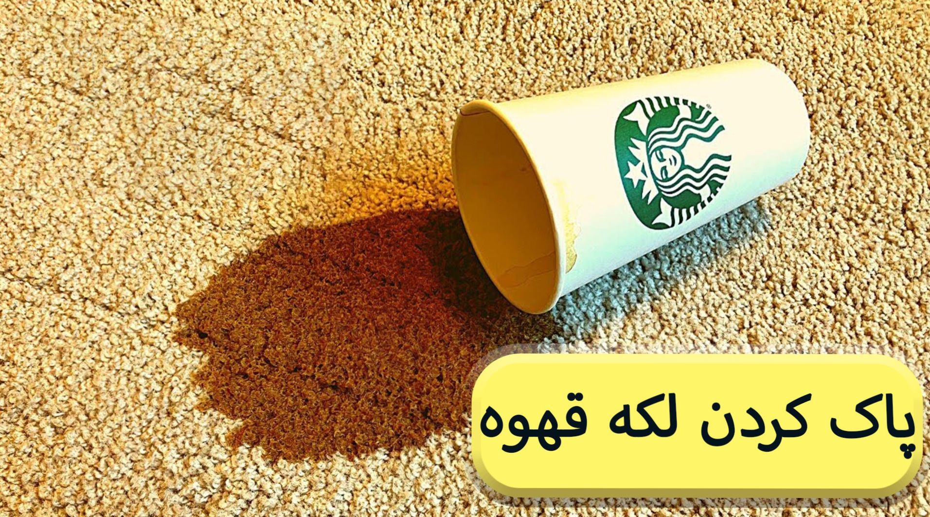 ترفند خانه داری| روش های پاک کردن لکه چای و قهوه از روی فرش