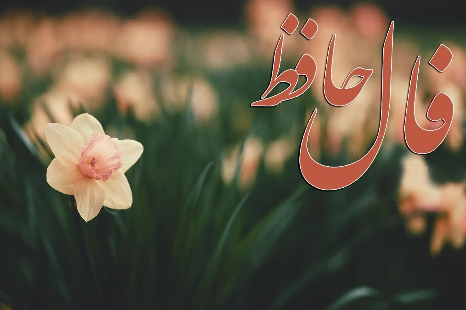 فال حافظ امروز 21 خرداد 1404 با تفسیر کامل و معنی | چشم به راه کسی هستید که برایتان بسیار مهم است