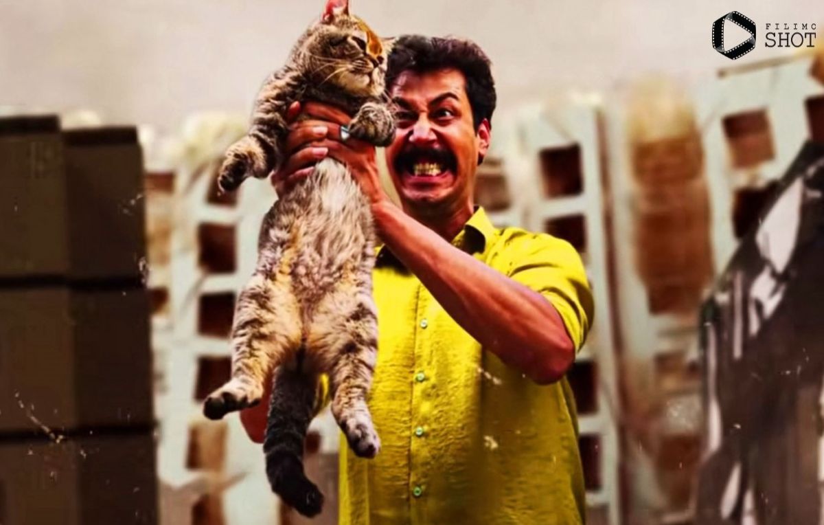 بهرام افشاری راهی کالیفرنیا شد| رقابت فیلم سال گربه در جشنواره توپانگا در امریکا