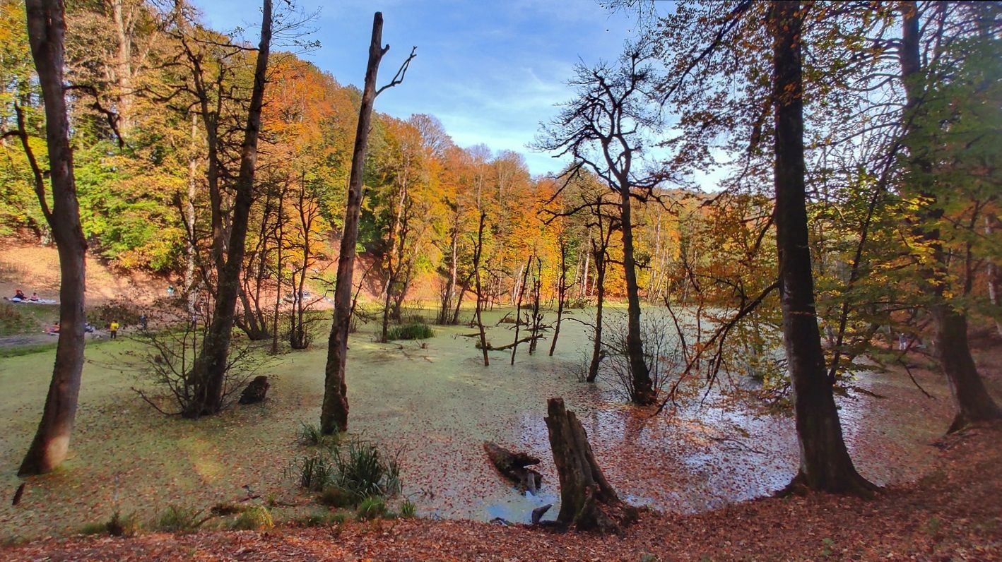 سفر یک روزه پاییزی به مرداب دِریوک | جایی که رنگ‌ها با آب آمیخته می‌شوند؛ مسیر دسترسی