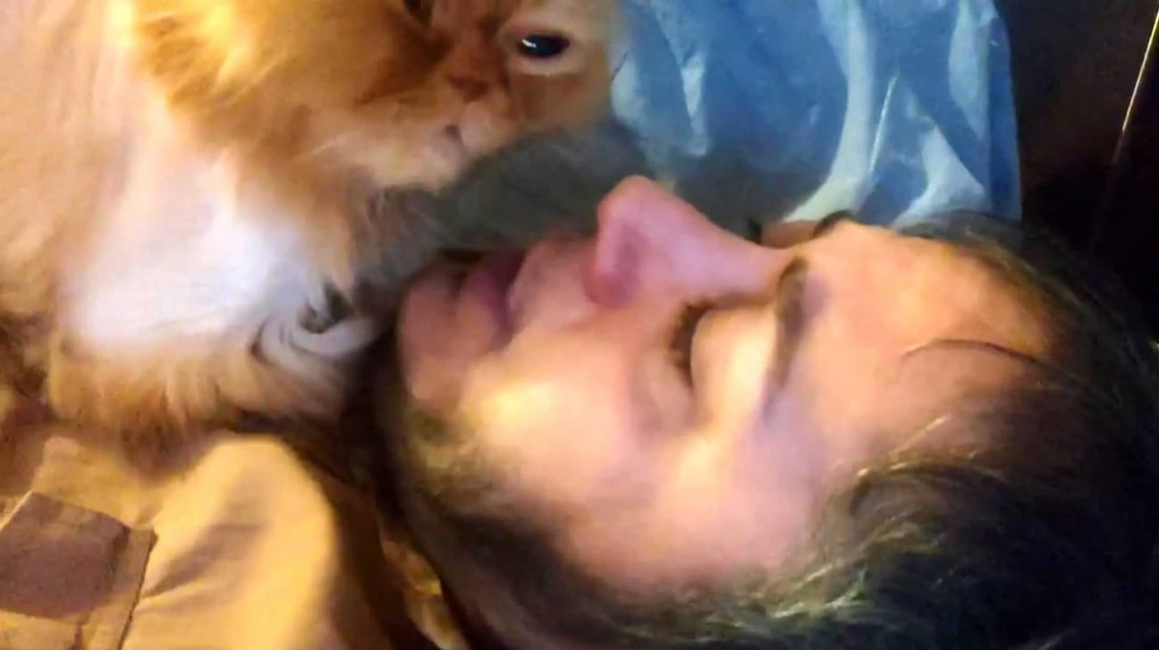 خواب عمیق مازیار لرستانی کنار گربه‌ جدیدش+فیلم