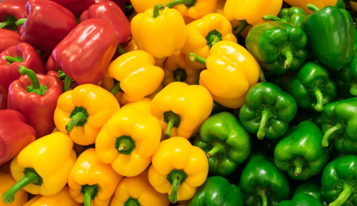 فلفل دلمه‌ سبز، قرمز یا زرد؟ کدام یک مفیدتر است؟