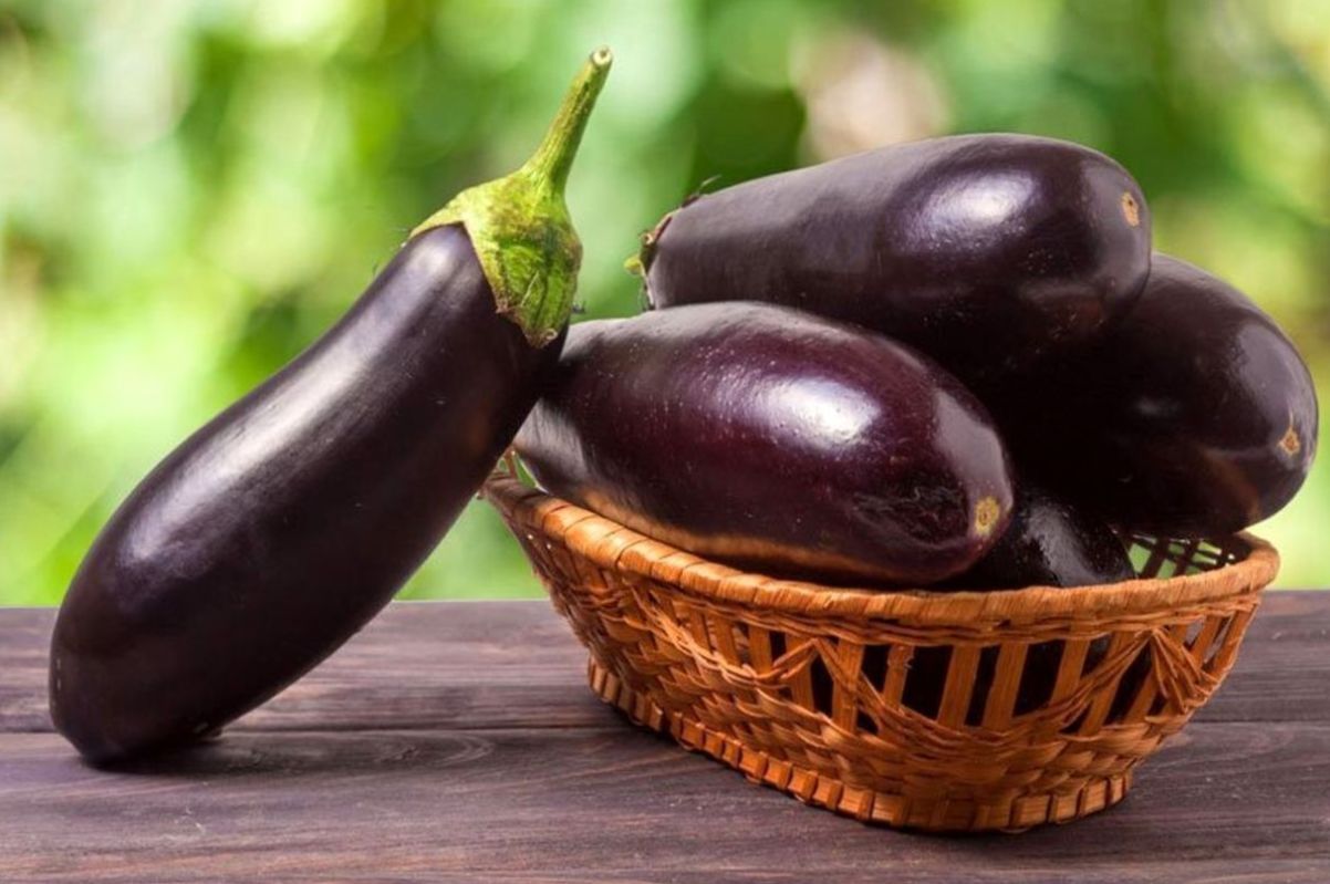 روش تشخیص بادمجان تلخ از شیرین؛ نشانه‌ تلخ بودن بادمجان