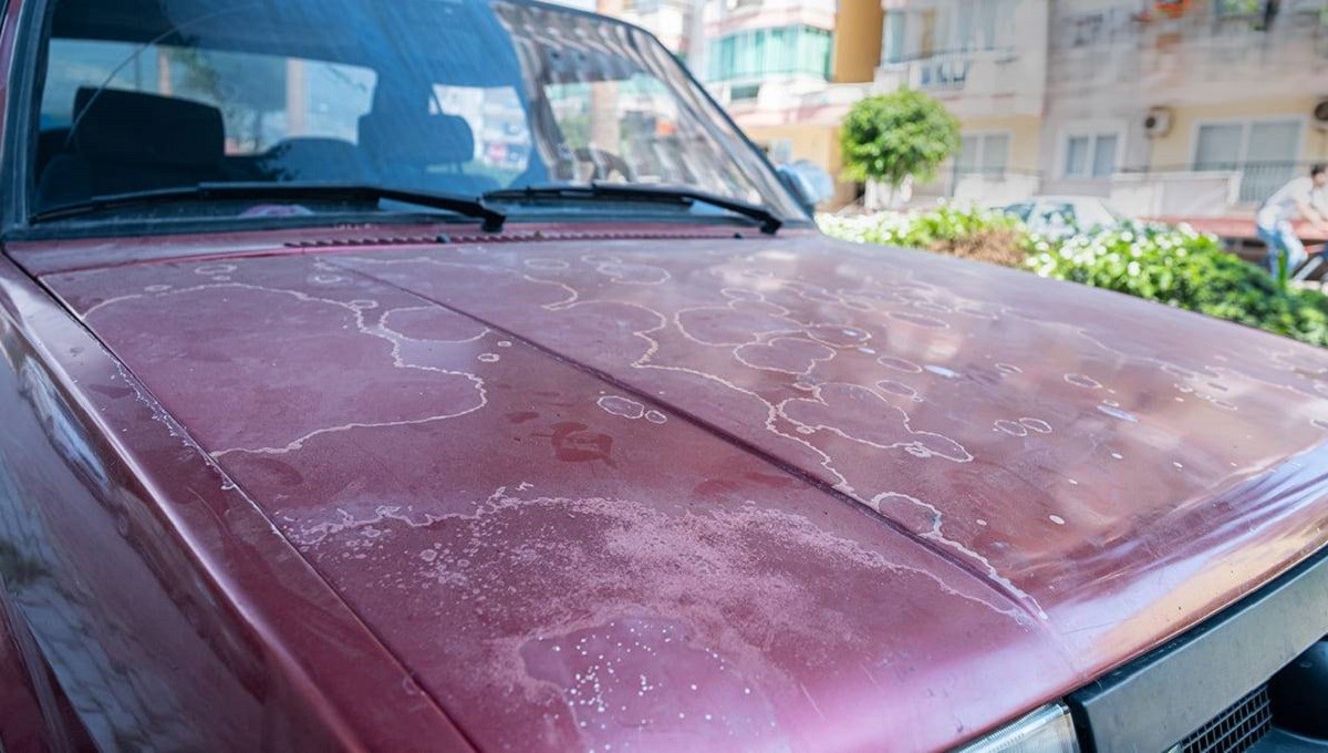 ترفند نگهداری از خودرو | روش‌های محافظت از رنگ خودرو در برابر آفتاب سوختگی