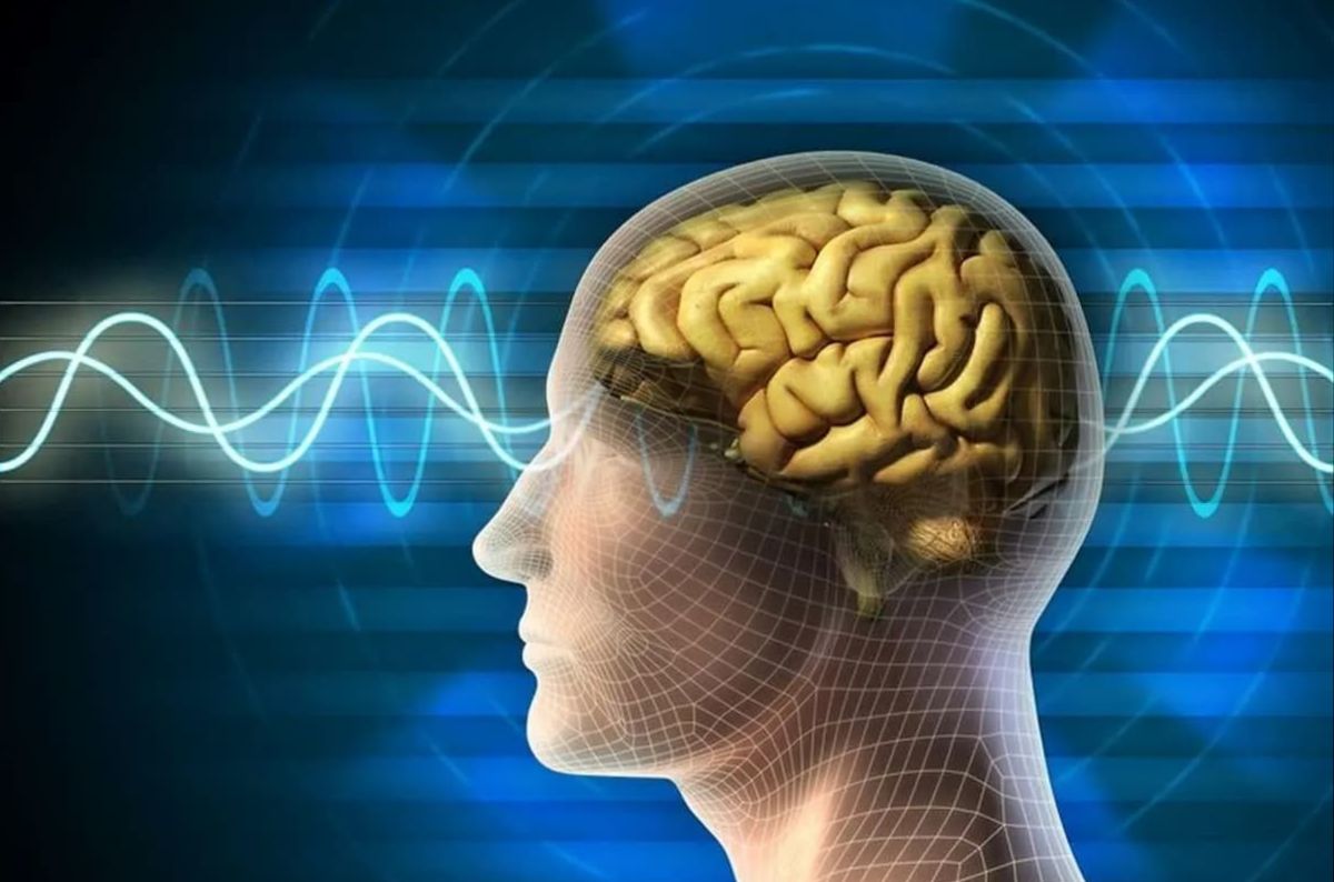 مغز خود را با اضافه کردن این ادویه به تخم مرغ تقویت کنید