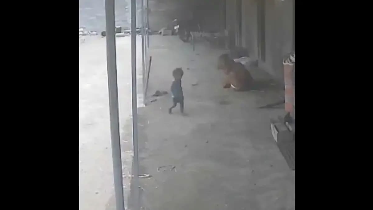 حمله وحشتناک سگ درنده به کودک 2 ساله+فیلم