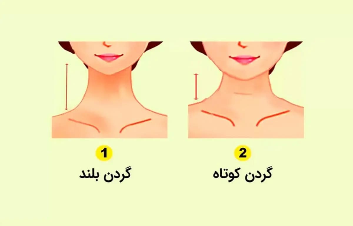 تست شخصیت شناسی: رازهای پنهان شریک عاطفی‌ات را در طول گردنش کشف کن!