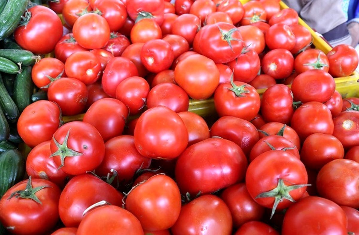 قیمت گوجه‌ فرنگی از کیلویی ۷۰ هزار تومان عبور کرد| گوجه‌ فرنگی به زودی ارزان می‌ شود