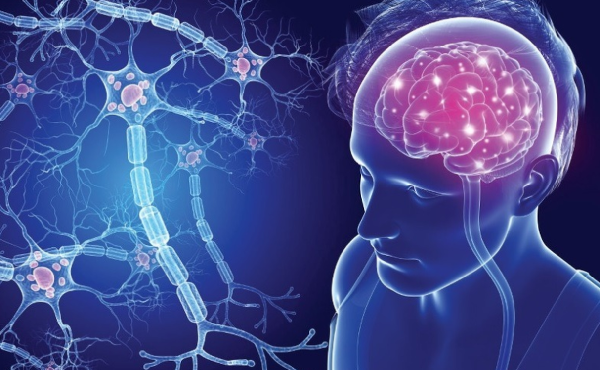 برای نخستینبار در جهان: درمان ام اس با سلولهای ضدسرطان