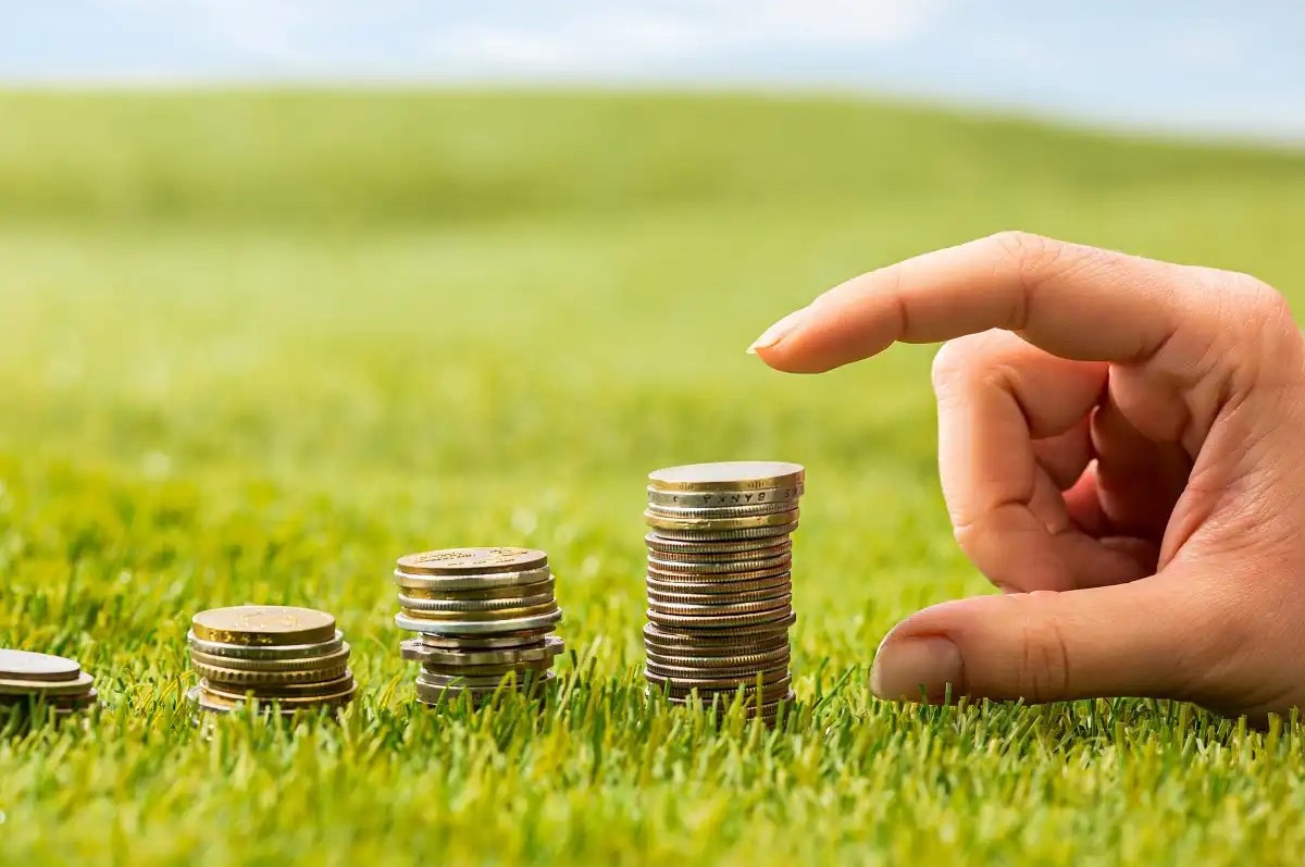 سال 1404 چی بخریم؟| سرمایه گذاری تو بورس بهتره با طلا و دلار؟ ماشین ایرانی بخرم یا چینی؟