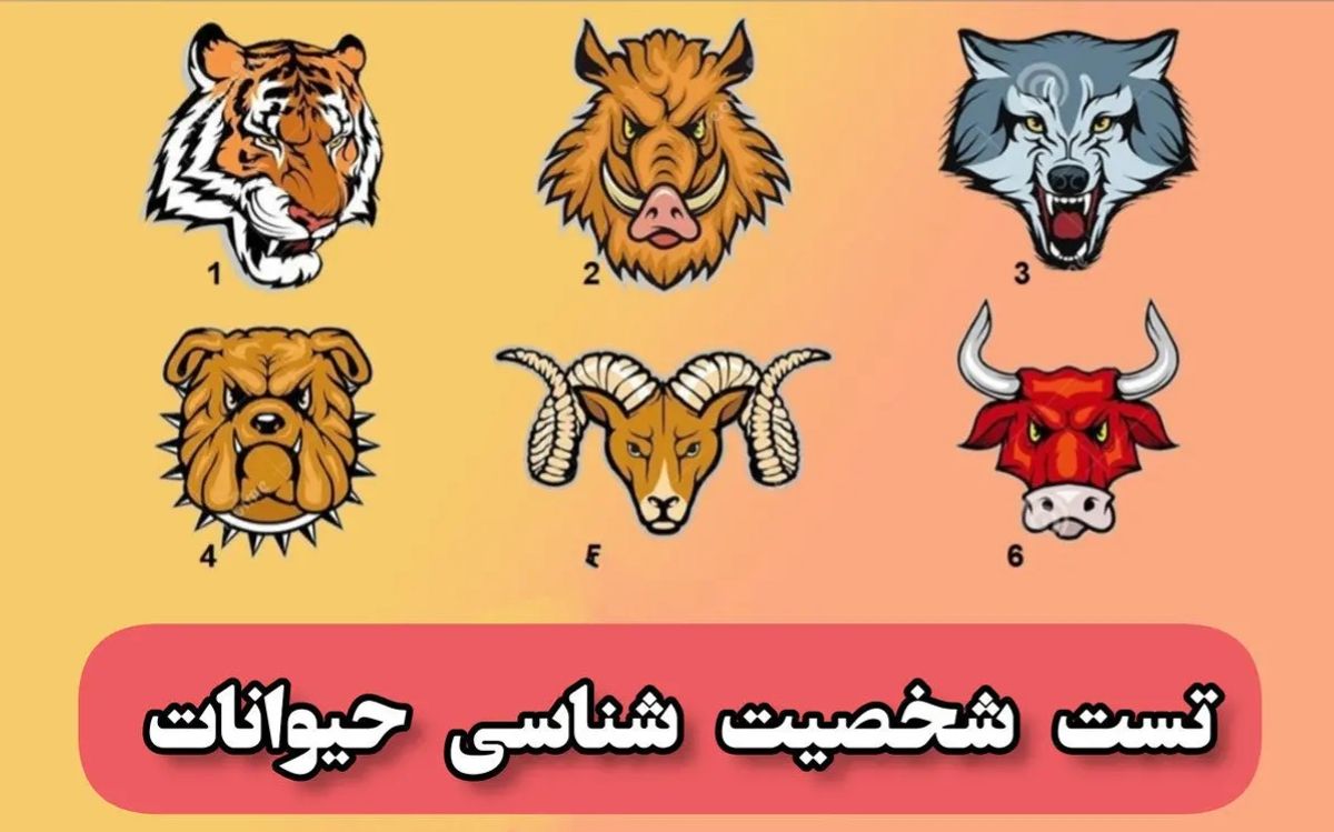 شخصیت شناسی حیوانات| ویژگی شخصیتی از روی حیوان مورد علاقه شما