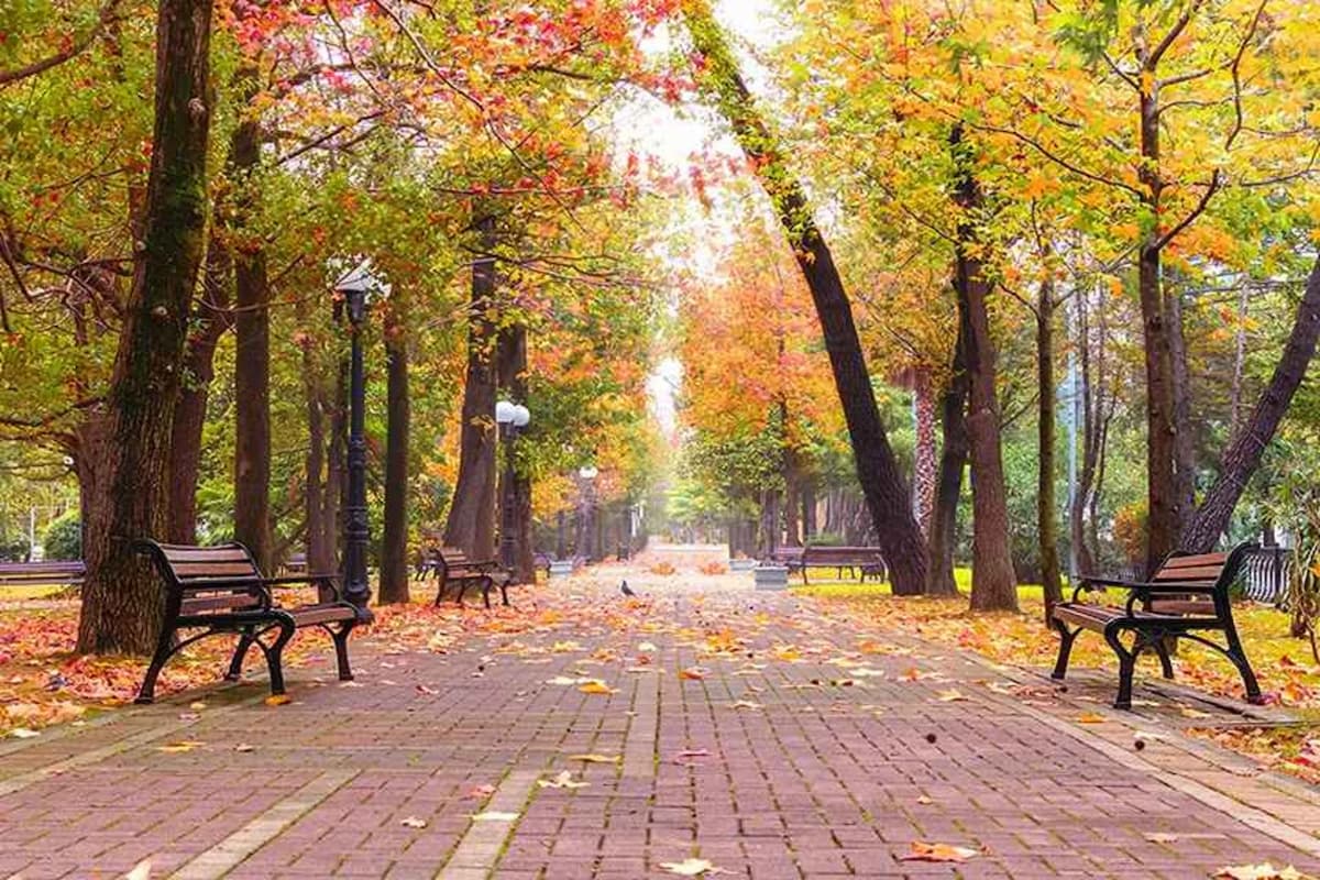 فصل پاییز کجا برویم؟ | بهترین نقاط دیدنی تهران برای سفر یک‌روزه پاییزی