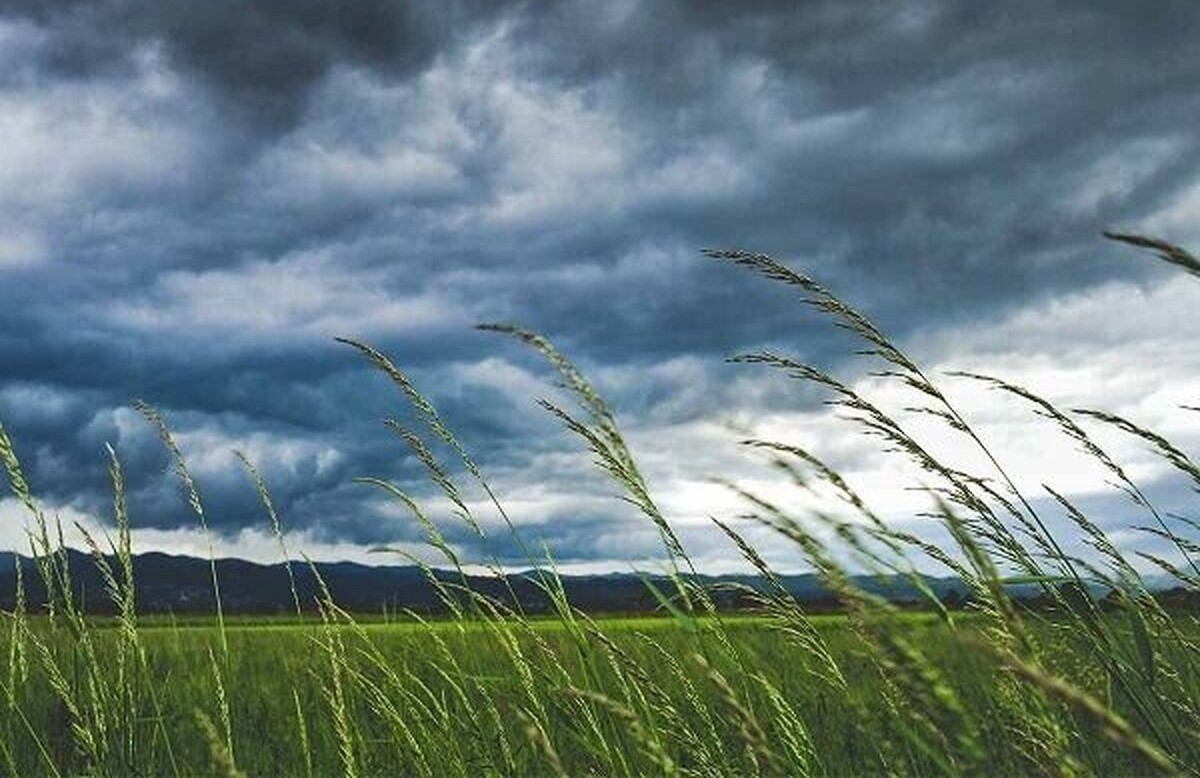 هشدار هواشناسی به کشاورزان؛ کاهش محسوس دما تا 10 درجه در این مناطق