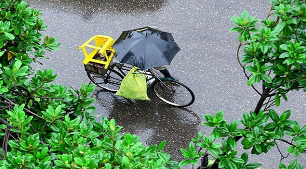 هواشناسی امروز 31 مرداد 1404؛ بارش پراکنده، وزش باد و کاهش موقت دما