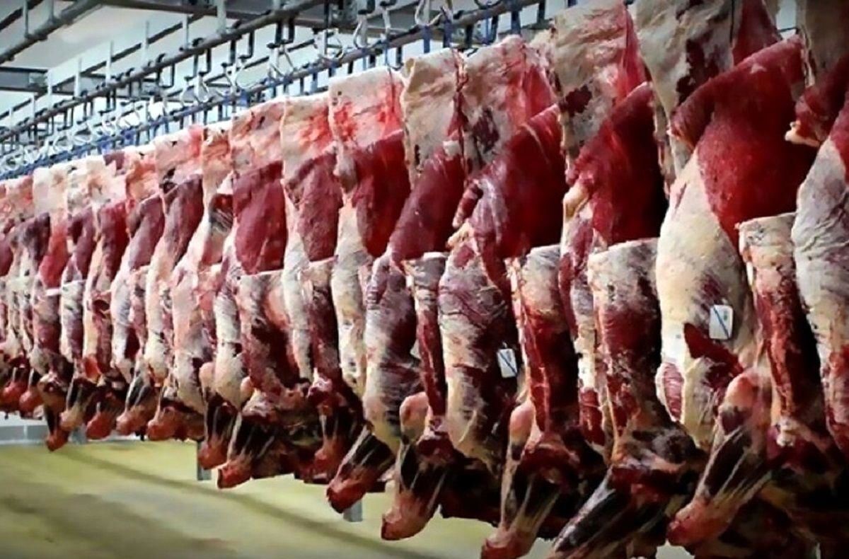 گوشت گوسفندی گران شد | قیمت گوشت قرمز امروز شنبه 12 مهر 1404+ جدول