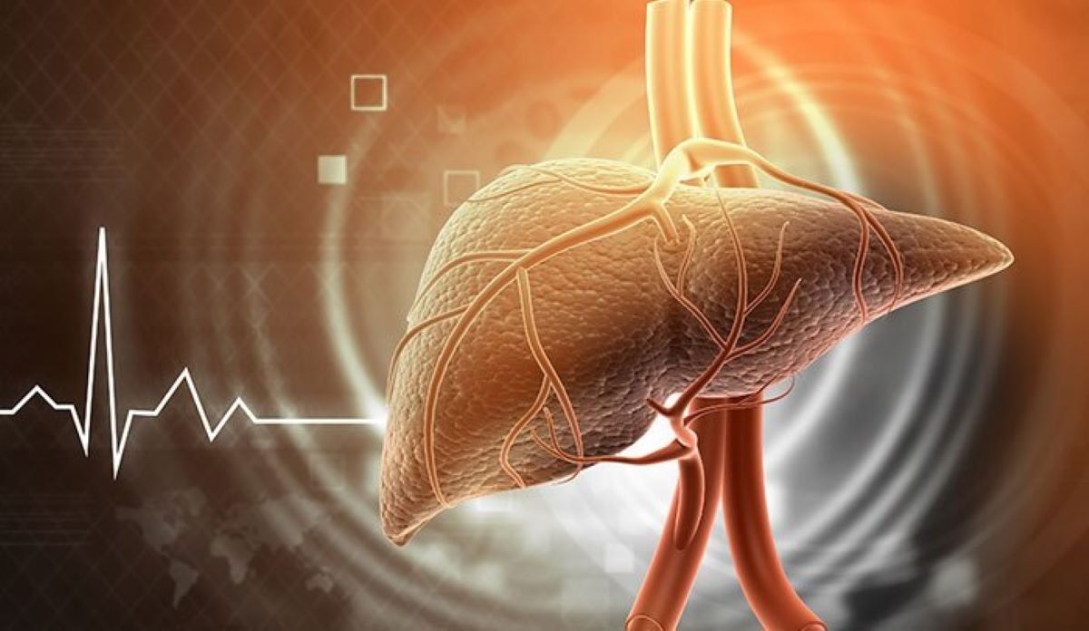 علائم اولیه کبد چرب و راهکارهای طلایی برای پیشگیری از آن