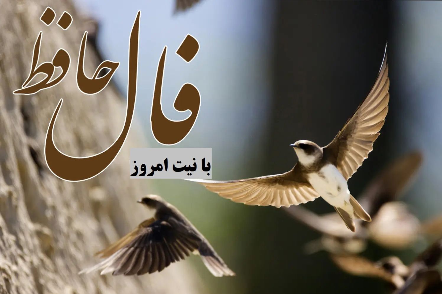 فال حافظ امروز چهارشنبه 25 تیر 1404؛ پیام شادکامی و لذت بردن از زندگی در غزل امروز