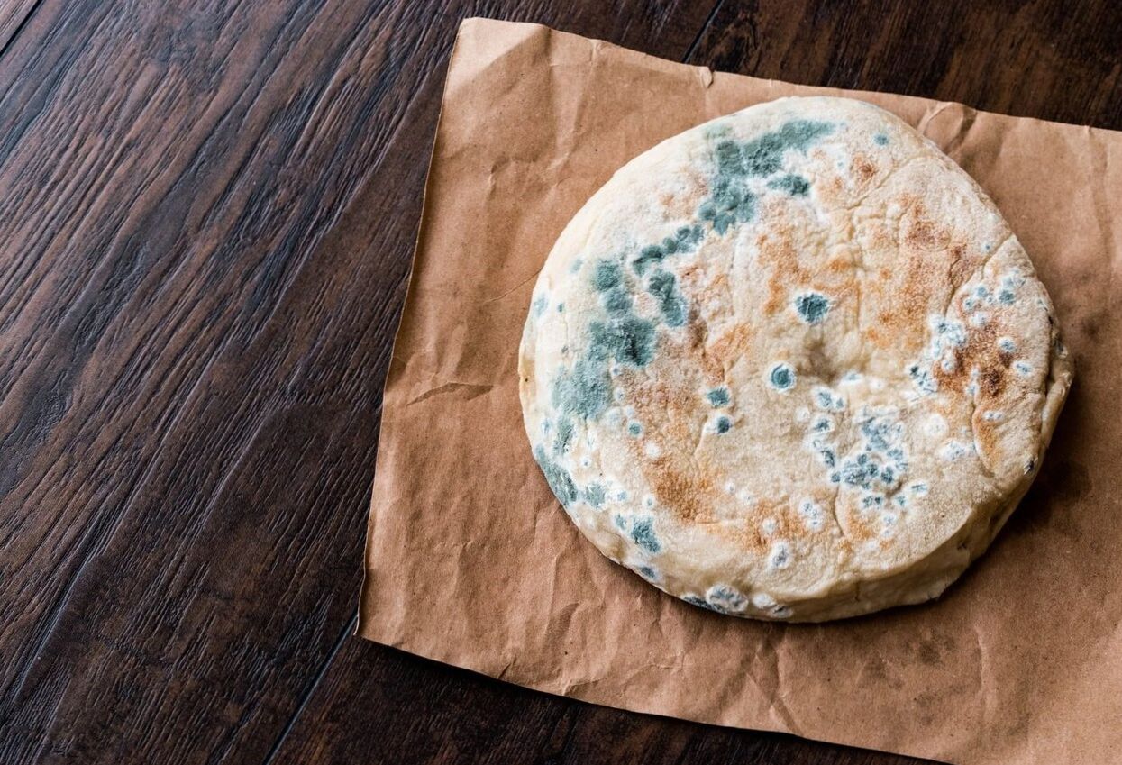 هر کپکی بیخطر نیست! ؛ اگر مواد غذایی کپک زده بخوریم چه میشود؟